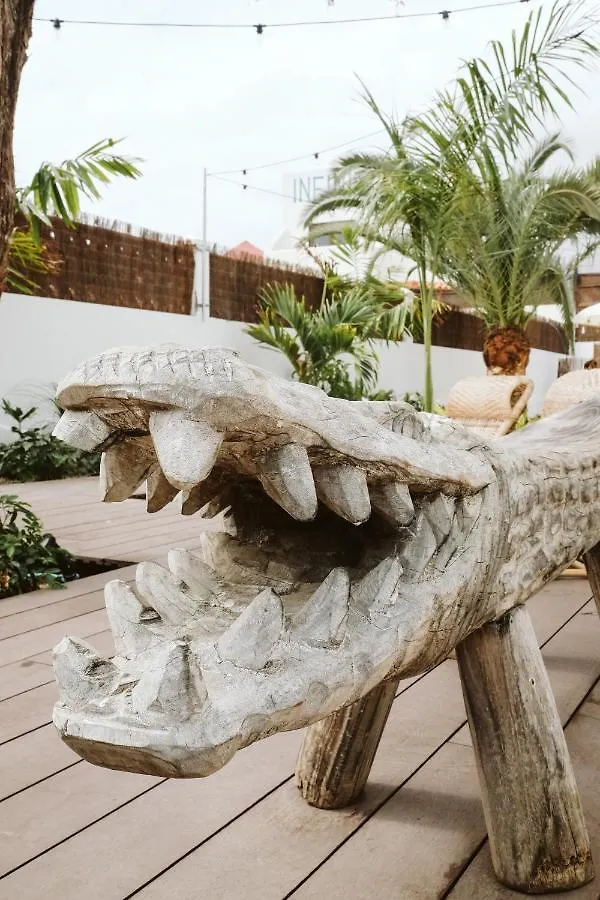 Dreamsea Surf House Fuerteventura Hostel Corralejo