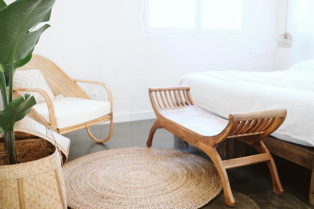 Dreamsea Surf House Fuerteventura Hostel Corralejo