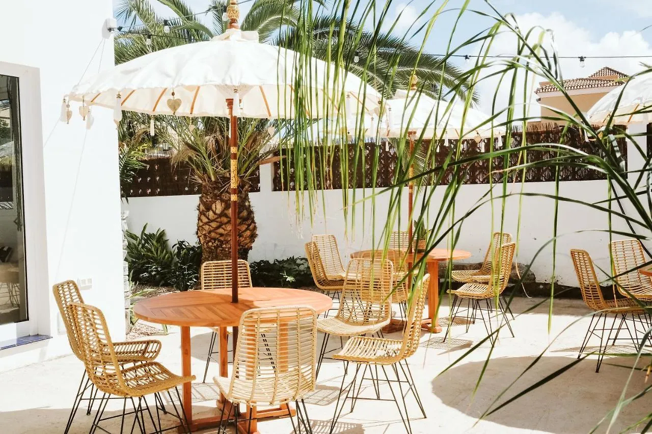 Dreamsea Surf House Fuerteventura Hostel Corralejo
