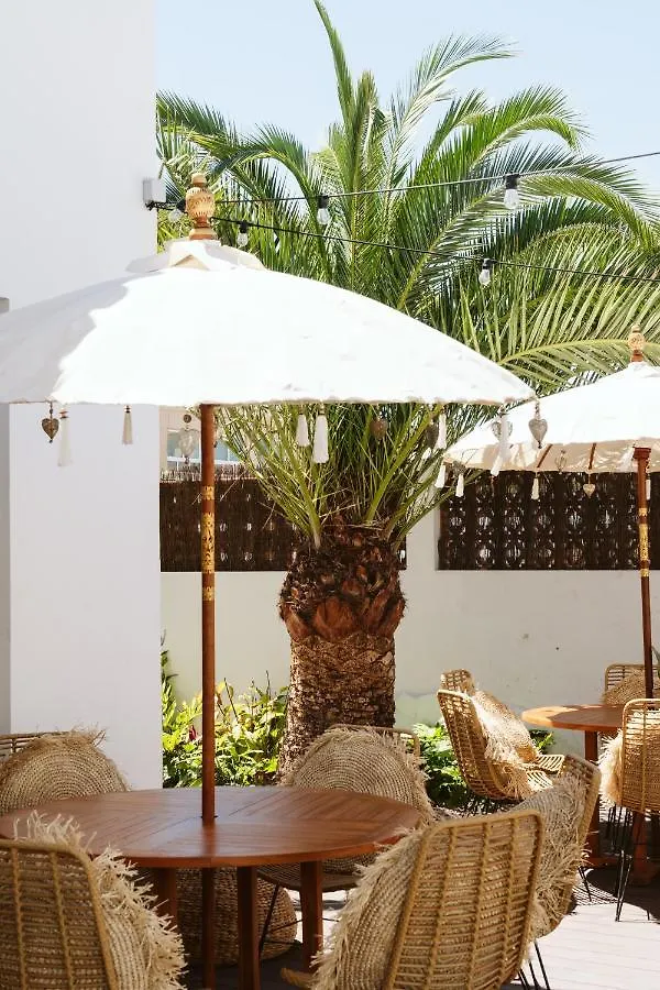 Dreamsea Surf House Fuerteventura Hostel Corralejo Spain