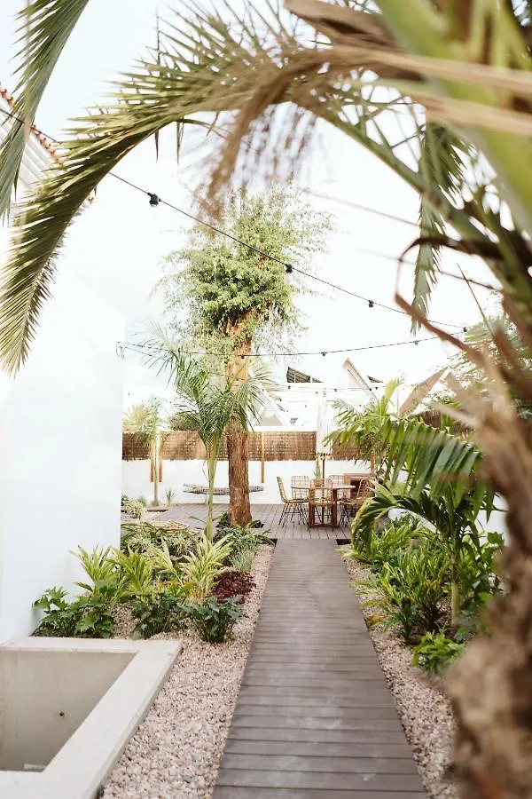 Dreamsea Surf House Fuerteventura Hostel Corralejo Spain